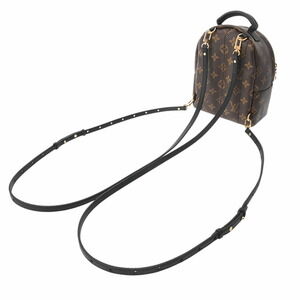 Louis Vuitton Canvas Brown Springs Palm Backpack Daypack Monogram